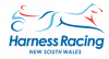 HRNSW_Trsp_Logo (1)